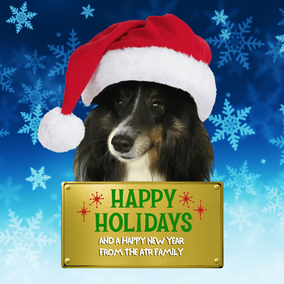 A holiday greeting with a dog wearing a Sant' Hat
