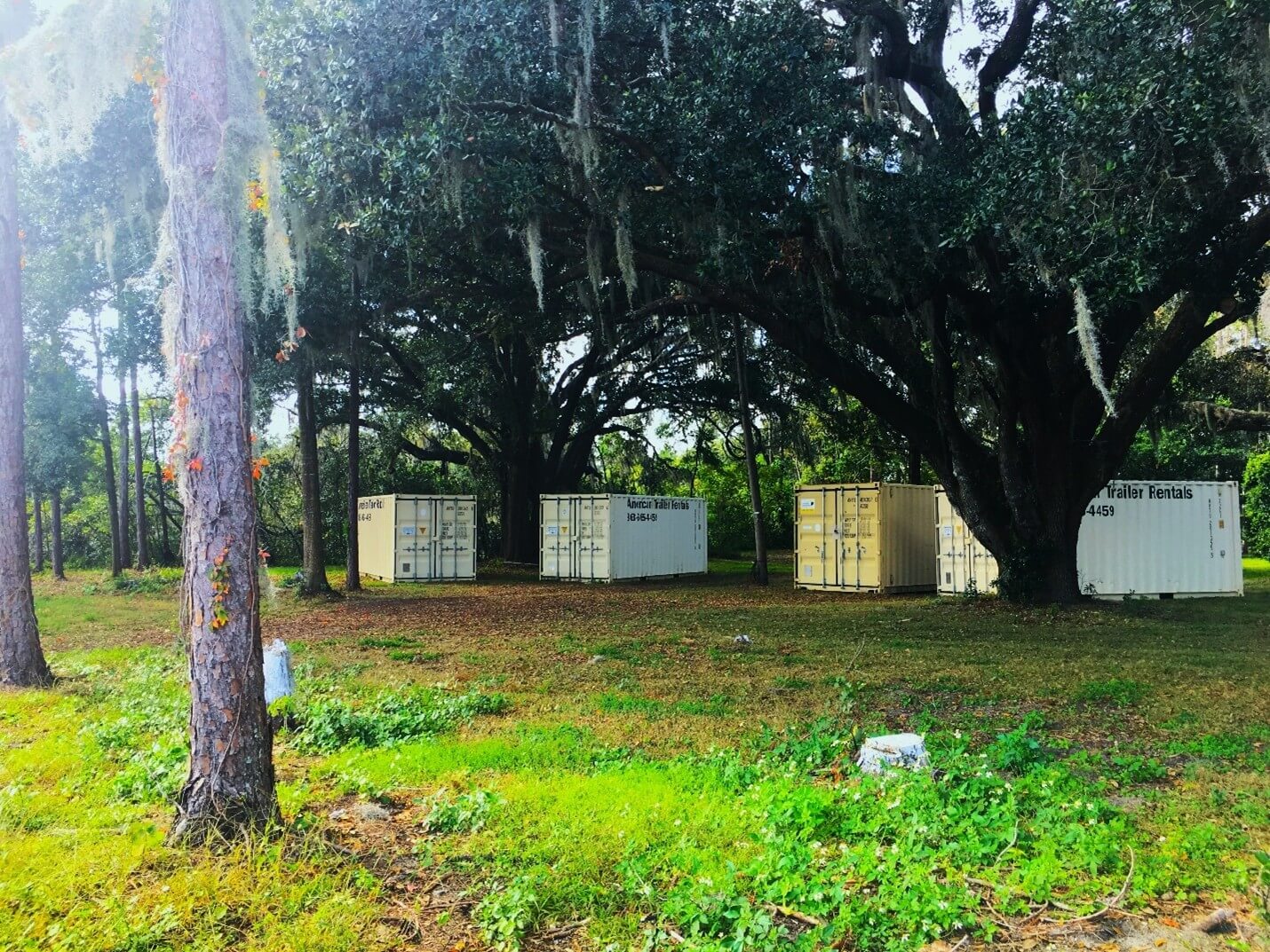 Image showcasing Eco-conscious Penthouse | Bishop Design by Paul Bishop | Interior ...